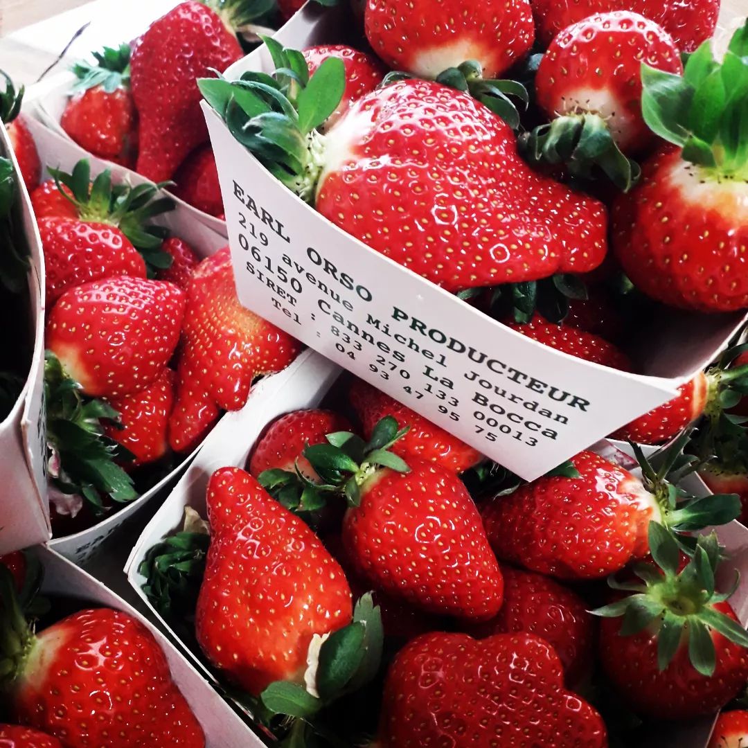 Producteur de fraise Mandelieu - La Campagne Orso